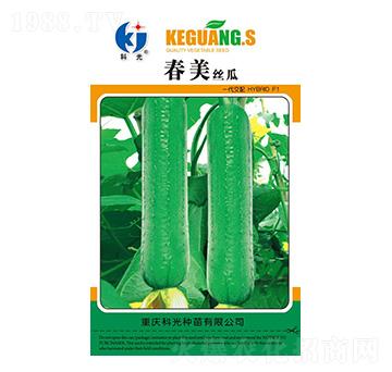 春美絲瓜-科光種苗