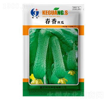 春香絲瓜-科光種苗