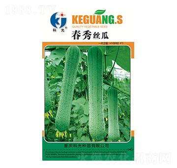 春秀絲瓜-科光種苗