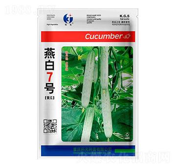 燕白7號-科光種苗