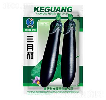 三月茄-科光種苗