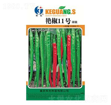 艷椒11號-科光種苗