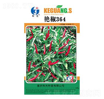 艷椒364-科光種苗