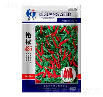 艷椒435-科光種苗