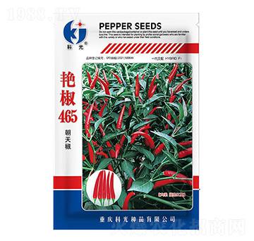 艷椒465-科光種苗