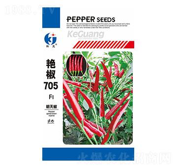 艷椒705-科光種苗