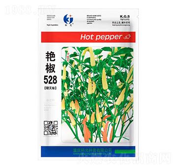 艷椒528-科光種苗