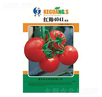 紅帥4041-科光種苗