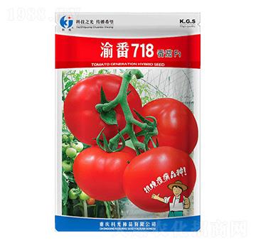 渝番718-科光種苗