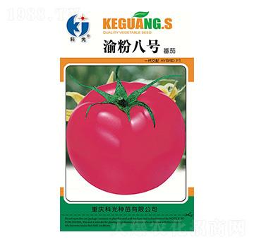 渝粉8號-科光種苗