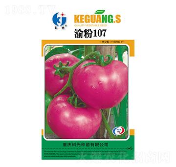 渝粉107-科光種苗