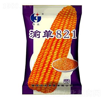 渝單821-科光種苗