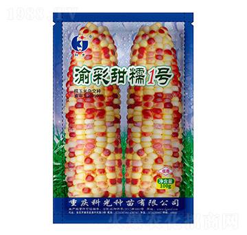 渝彩甜糯1號-科光種苗