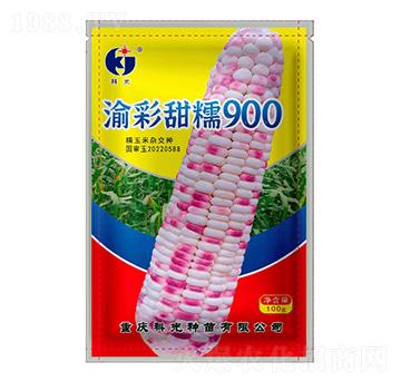 �����Ŵ900-�ƹ�N��