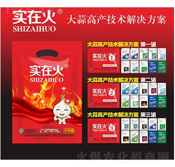 大蒜高產(chǎn)技術解決方案-實在火-紅太陽