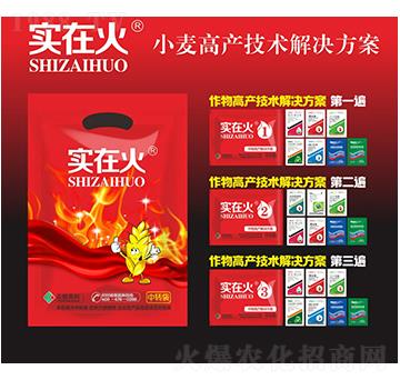 小麥高產(chǎn)技術解決方案-實在火-紅太陽