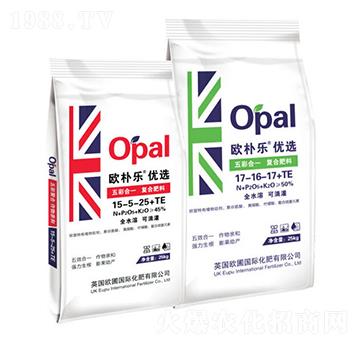 ��ʺ�һ�ͺϷ���-�W�㘷