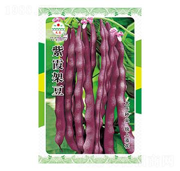 �����N��-��ϼ�ܶ�-̫��(l��)�N�I(y��)