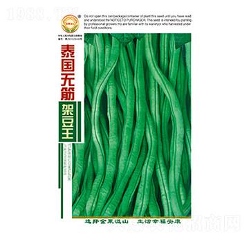 �����N��-̩��(gu��)�o(w��)��ܶ���-̫��(l��)�N�I(y��)