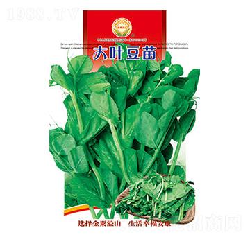 ���~����-̫��(l��)�N�I(y��)