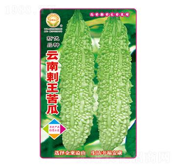 ��ϷN��-���ϴ������-̫��(l��)�N�I(y��)