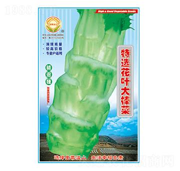 ���˷N��-���x���~�����-̫��(l��)�N�I(y��)