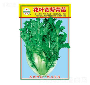 ��˷N��-���~�������-̫���N�I(y��)