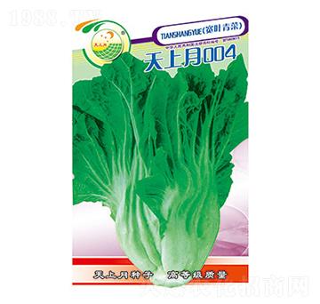 ��˷N��-������004-̫���N�I(y��)