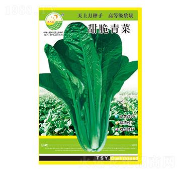 ��˷N��-������-̫���N�I(y��)