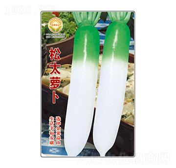 �}���N��-��̫�}��-̫���N�I(y��)