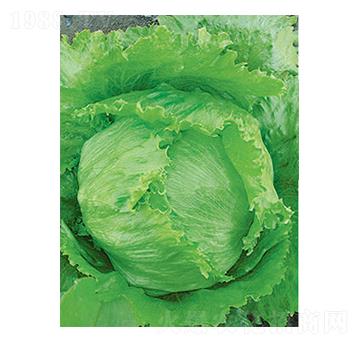 ���˷N��-̫���N�I(y��)