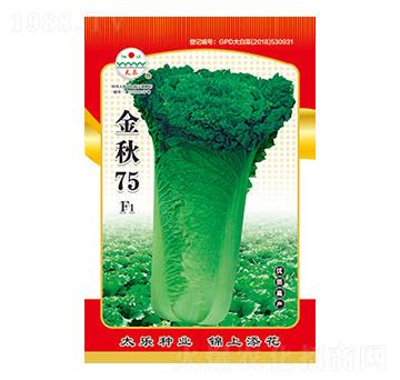 �ײ˷N��-����75-̫��(l��)�N�I(y��)