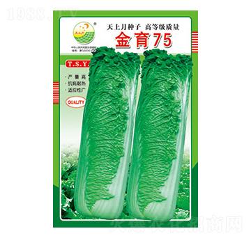 �ײ˷N��-����75-̫��(l��)�N�I(y��)