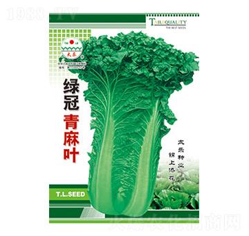 �ײ˷N��-�G�������~-̫��(l��)�N�I(y��)