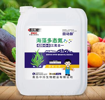 海藻多態(tài)氮-田動脈-中爍生物