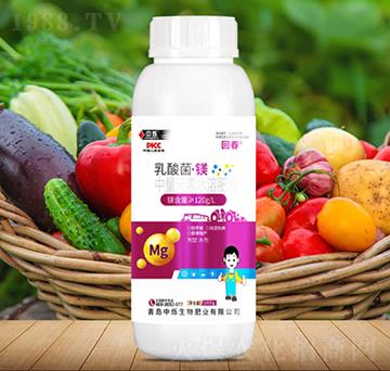 乳酸菌·鎂-回春-中爍生物