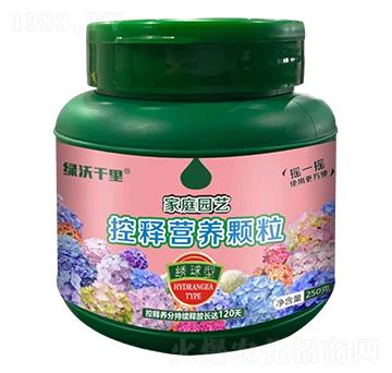 �C���ͼ�ͥ�@ˇ��ጠI�B(y��ng)�w��-�G��ǧ��-�G�ַʘI(y��)