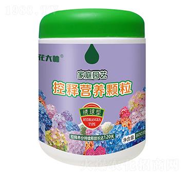 800���C���ͼ�ͥ�@ˇ��ጠI�B(y��ng)�w��-����-�G�ַʘI(y��)