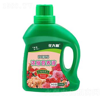 õ���¼��ͼ�ͥ�@ˇ��s�I�B(y��ng)Һ-����-�G�ַʘI(y��)