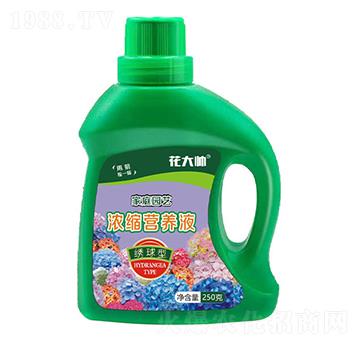 繡球型家庭園藝濃縮營(yíng)養(yǎng)液-花大帥-綠沃肥業(yè)