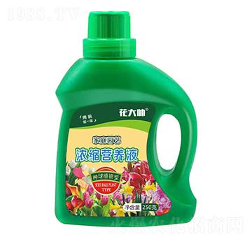 種球植物型家庭園藝濃縮營(yíng)養(yǎng)液-花大帥-綠沃肥業(yè)