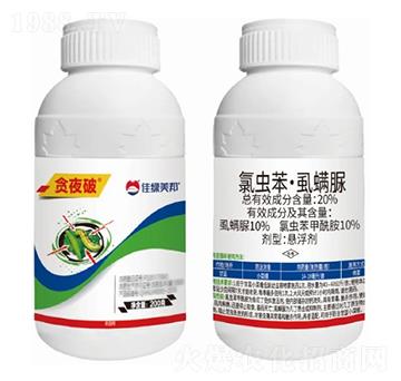 20%���x����ʭ����Ҹ���-؝ҹ��-�����