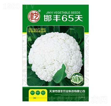 ���˷N��-���S65��-���S�r(n��ng)�I(y��)