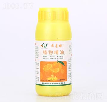 ֲ�ﾫ��-��ϲ��-���