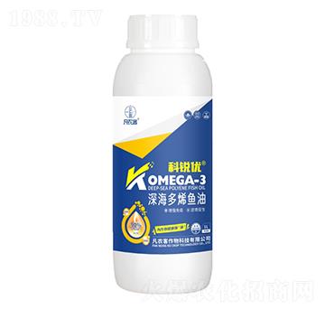 ���ϩ�~(y��)��-���J��(y��u)-���r(n��ng)��