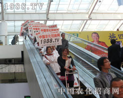 �r(n��ng)���W(w��ng)��(zh��n)ʿ�����p�����|����ƴ��һƬ�x�͵����