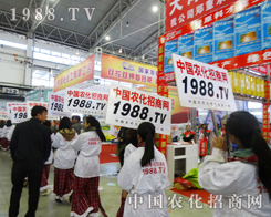 ��6���L�������p�������������Ҳ���