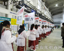 2013���ַ��ϕ�(hu��)�����r(n��ng)���W(w��ng)�����