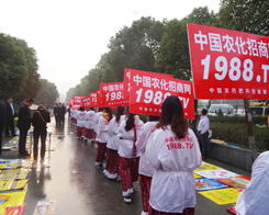 2013�����׏ͷ�չ�N���r(n��ng)���W(w��ng)С��ꖂ���������