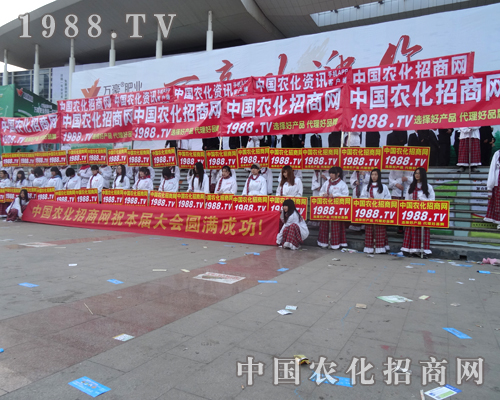 2014��ɽ�|ֲ���������wҫ�۵�����